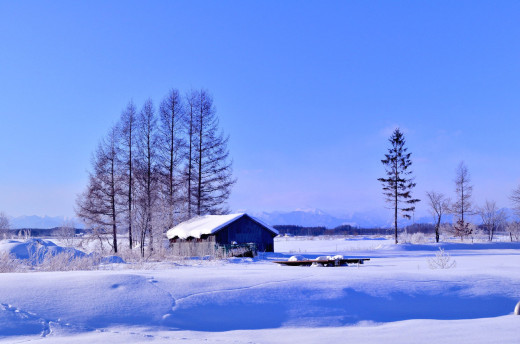 697509 (a): :1920x1270